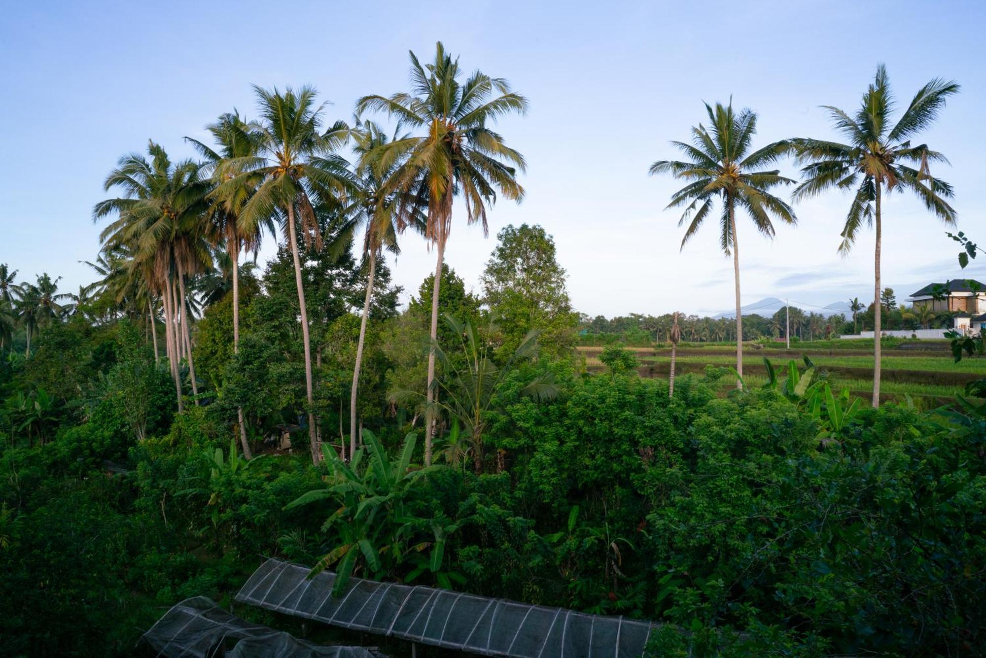 Karang Lila Bhuana Ubud Екстериор снимка